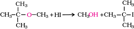 4964.png