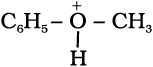 4976.png