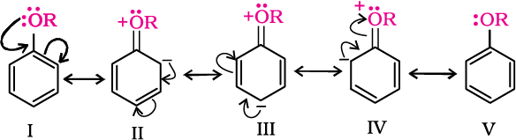 4987.png