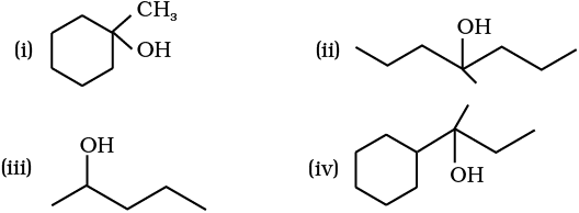 5291.png