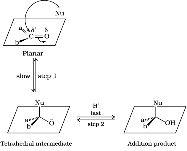3009.png
