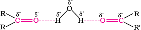 4494.png
