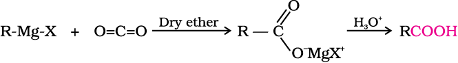 4584.png