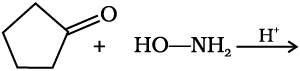 4741.png