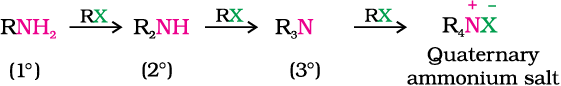 2435.png