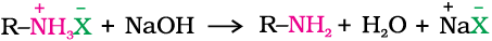 2447.png