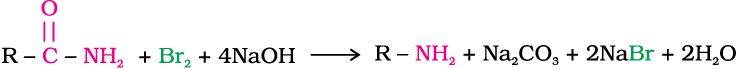 2481.png