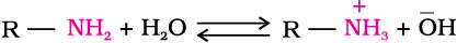 2521.png