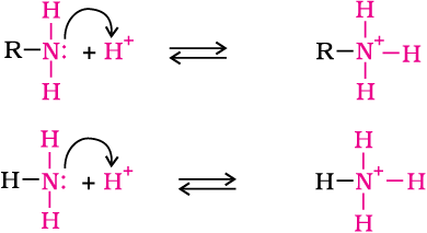 2557.png