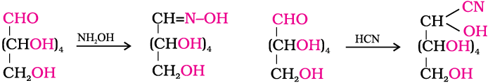 2775.png