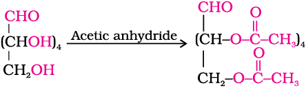 2798.png