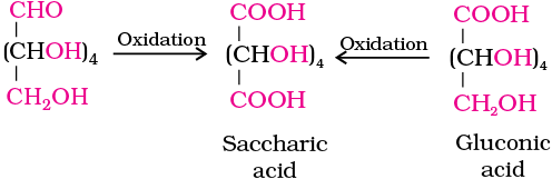 2808.png