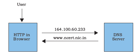 10.21