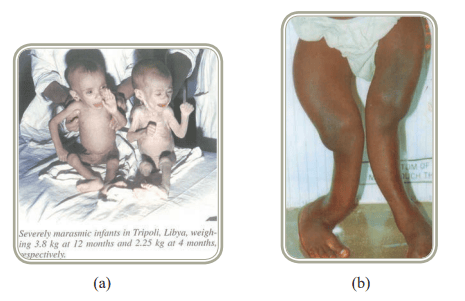 ch3fig1