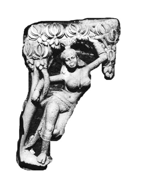 yakshi.tif