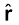3656.png