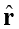 3238.png