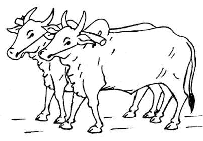 Pair ox_fmt