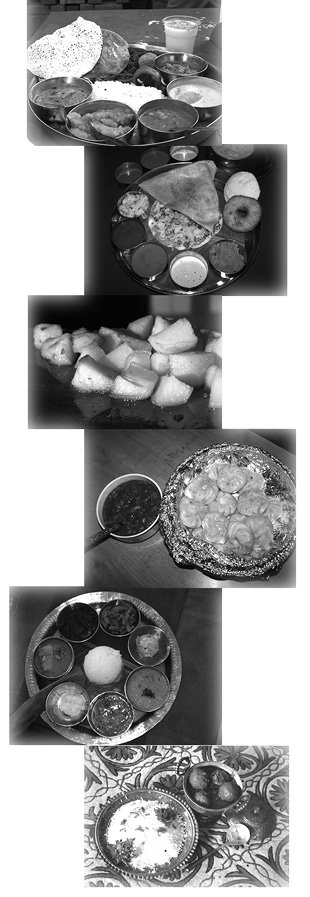 6_5food.tif