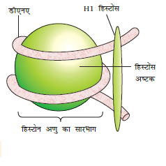 6.4