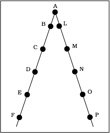 2441.png