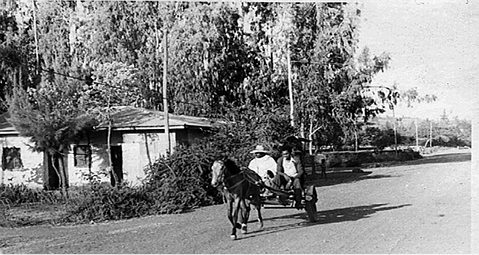 A%20horse%20cart%20in%20a%20village.tif