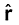 3150.png