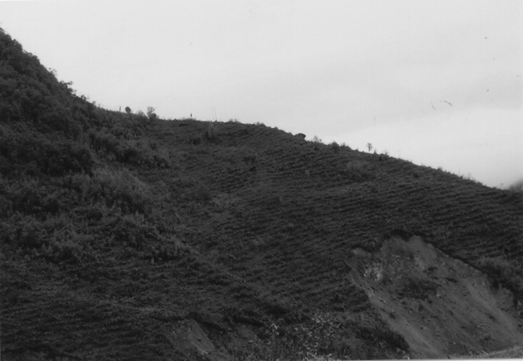 area4