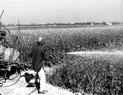 farming2
