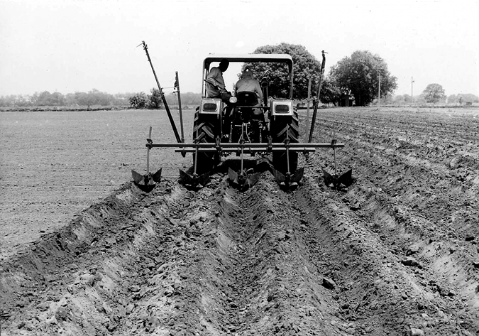 farming3