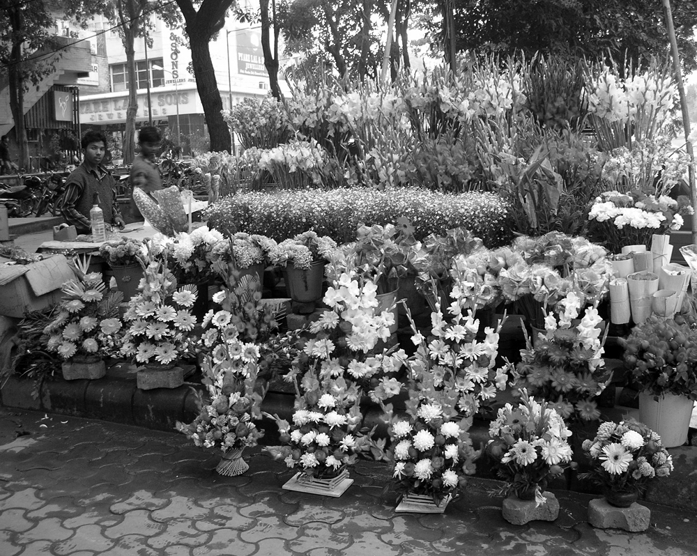 flowers1