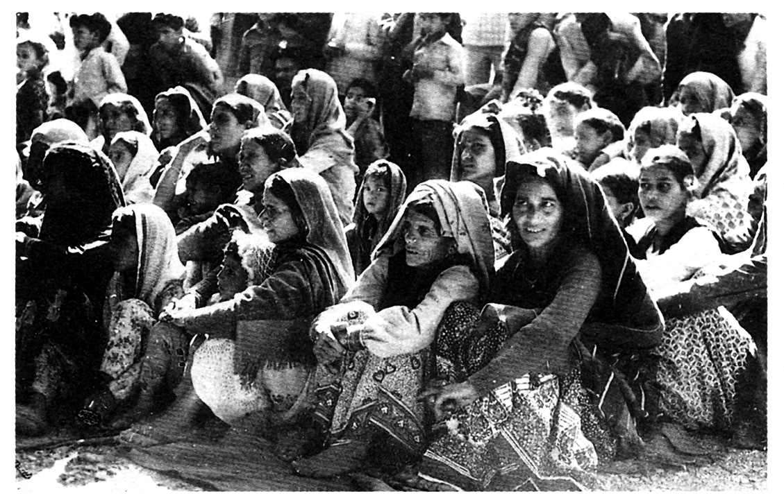 chipko