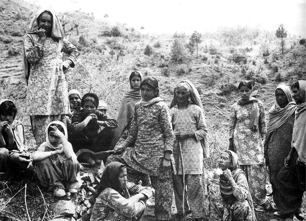 chipko2