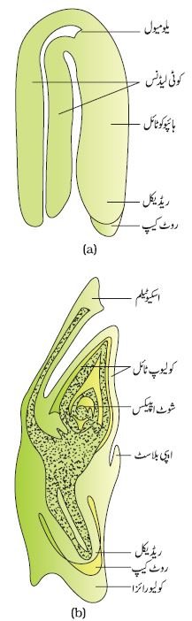 pic 15 chap0ter 2