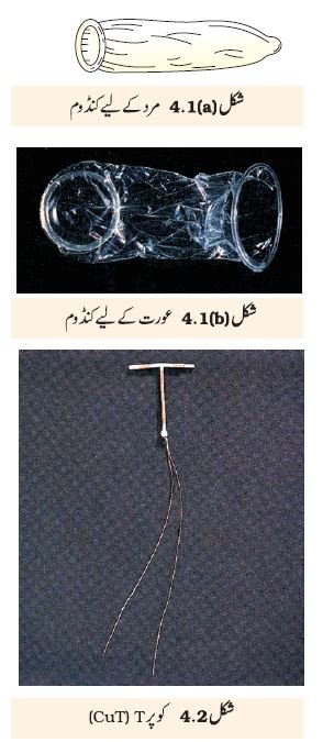 PIC 1 CHAPTER 4