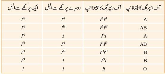 pic 10 chapter 5