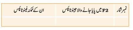 pic 12 chapter 5