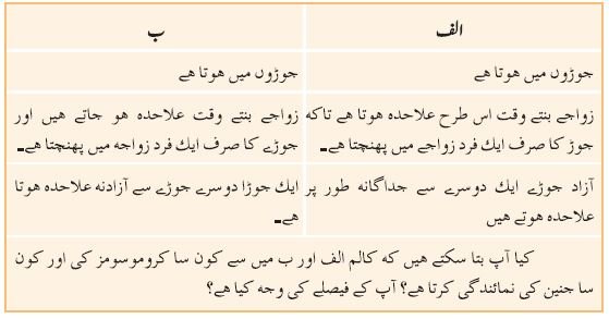 pic 14 chapter 5