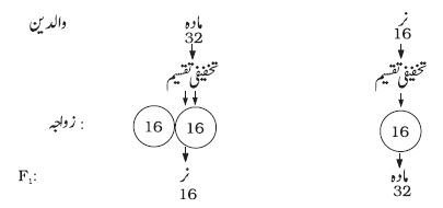 pic 19 chapter 5