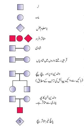 pic 20chapter 5