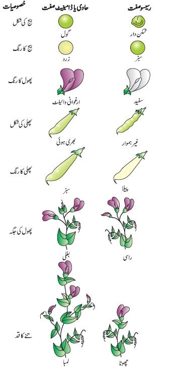 pic 3 chapter 5