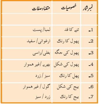 pic 4 chapter 5