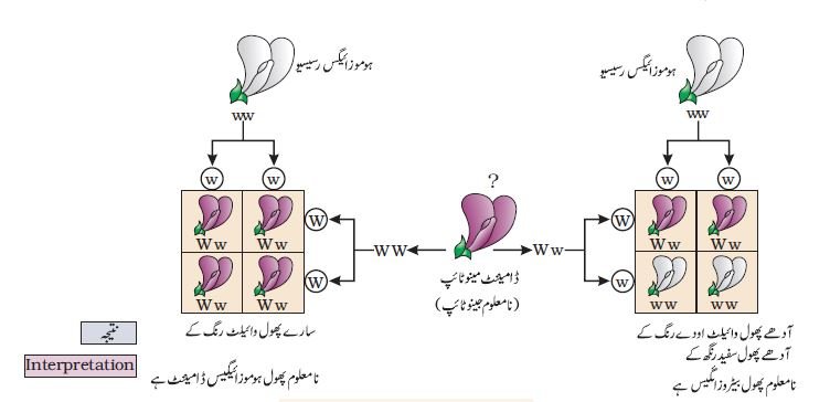 pic 8 chapter 5