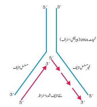 pic 12 chapter 6