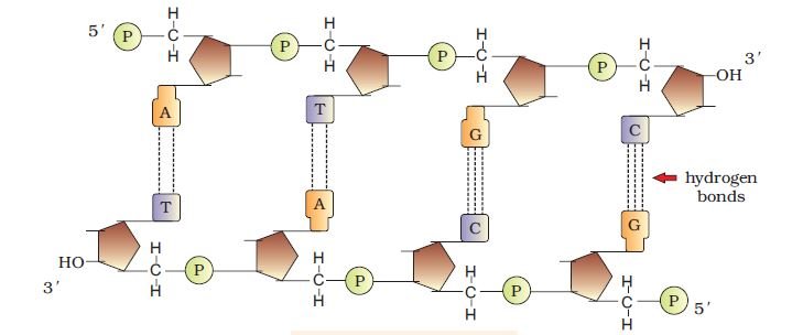 pic 3 chapter 6