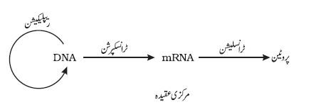 pic 5 chapter 6