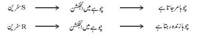 pic 7 chapter 6
