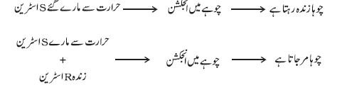 pic 8 chapter 6