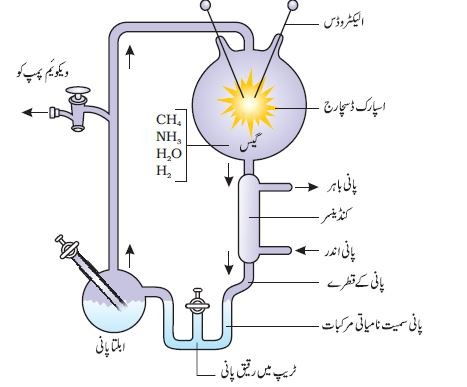 pic 2 chapter 7