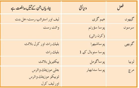 pic 5 chapter 9